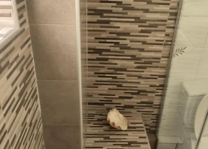 Jasmine Near The Rethymno (Crete)