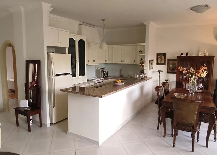 Jasmine Near The Rethymno (Crete)